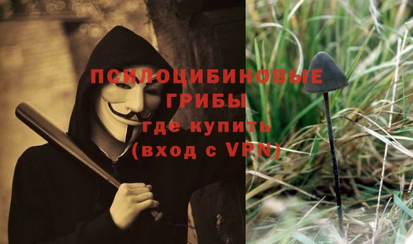 мескалин Алексеевка