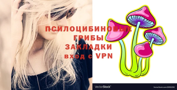 Альфа ПВП Алзамай