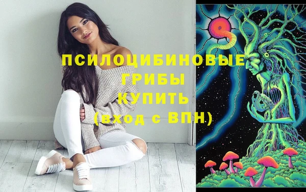 Альфа ПВП Алзамай