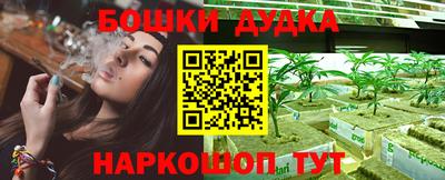 ПСИЛОЦИБИНОВЫЕ ГРИБЫ Заводоуковск