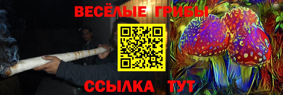 Псилоцибиновые грибы GOLDEN TEACHER  Псилоцибиновые грибы мицелий  Вход с VPN  Менделеевск 
